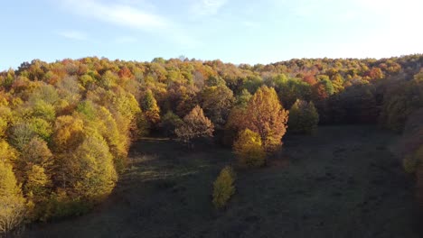 Hermoso-Bosque-De-Otoño-Desde-Arriba-Al-Atardecer