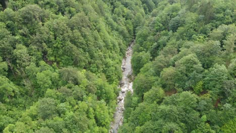 drone flies above remote canyon with river flowing in deep forest lush greenery