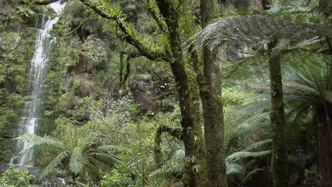 a small waterfall pours over a cliff in a jungle