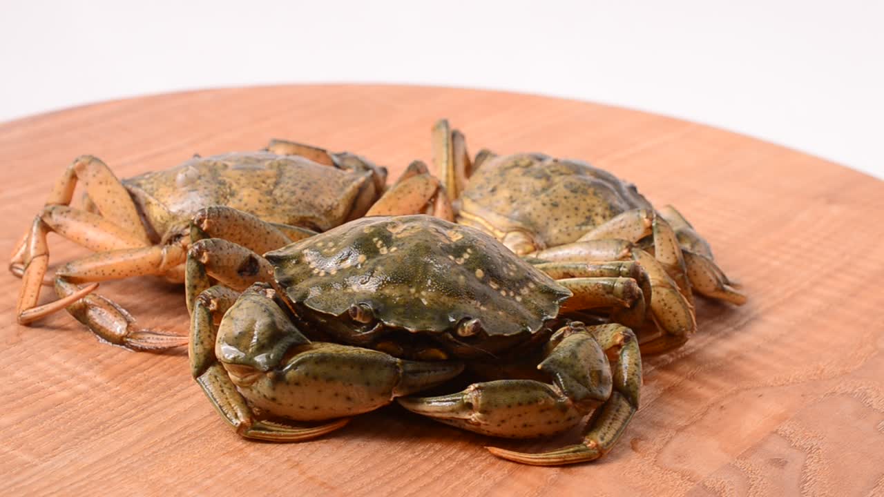 Cua sống. Quay chụp cua
