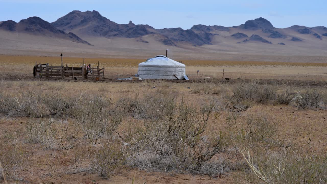 A lone ger and an animal pen stand as a remote outpost in the vast Mongolian plains. The rugged mountain range on the horizon frames this scene of a solitary nomadic lifestyle