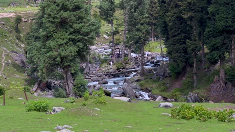 stunning river landscape in the mountains of kashmir