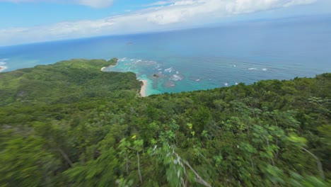 stunning fpv dive down green jungle to exotic caribbean sand beach, summer