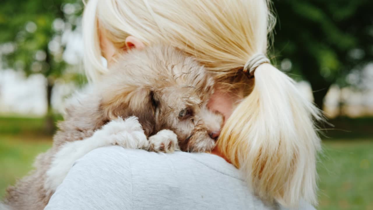부드럽게 안고 있는 좋아하는 강아지