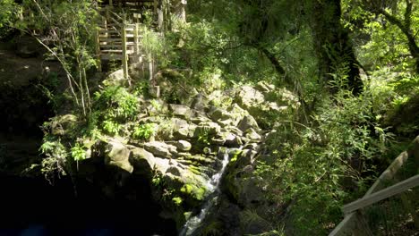 panning of laguna escondida, turquoise pond surrounded by green dense woodland at daytime near eyes of caburgua, pucon, chile