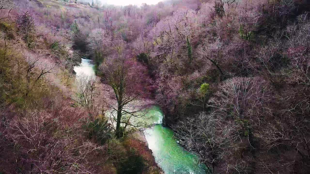 겨울 숲 을 가로질러 흐르는 휘어지는 강 의 공중 사진