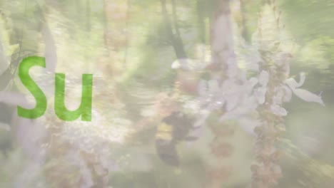 숲의 식물 위에 환경 보존 텍스트의 애니메이션