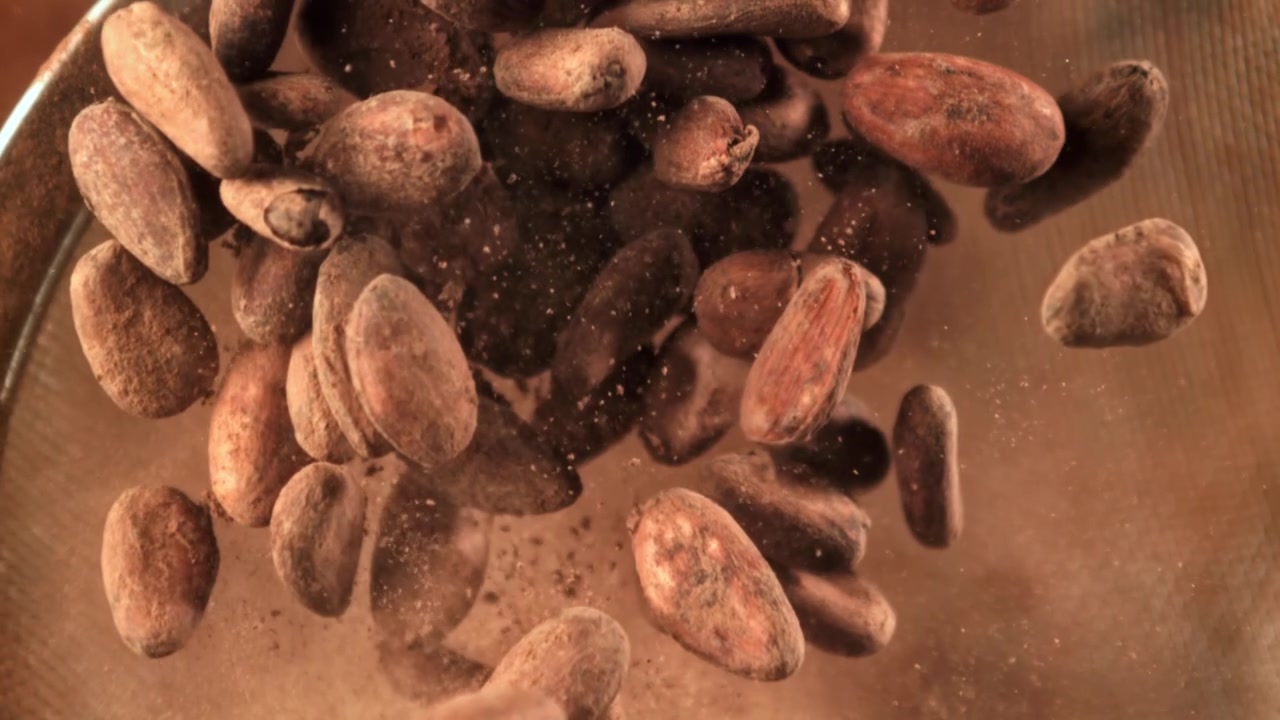 Slow Motion Cocoa Beans and Powder Falling Through Sieve