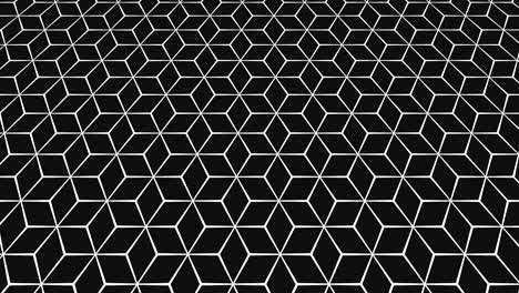 graphic pattern in black and white that tilts up and moves.