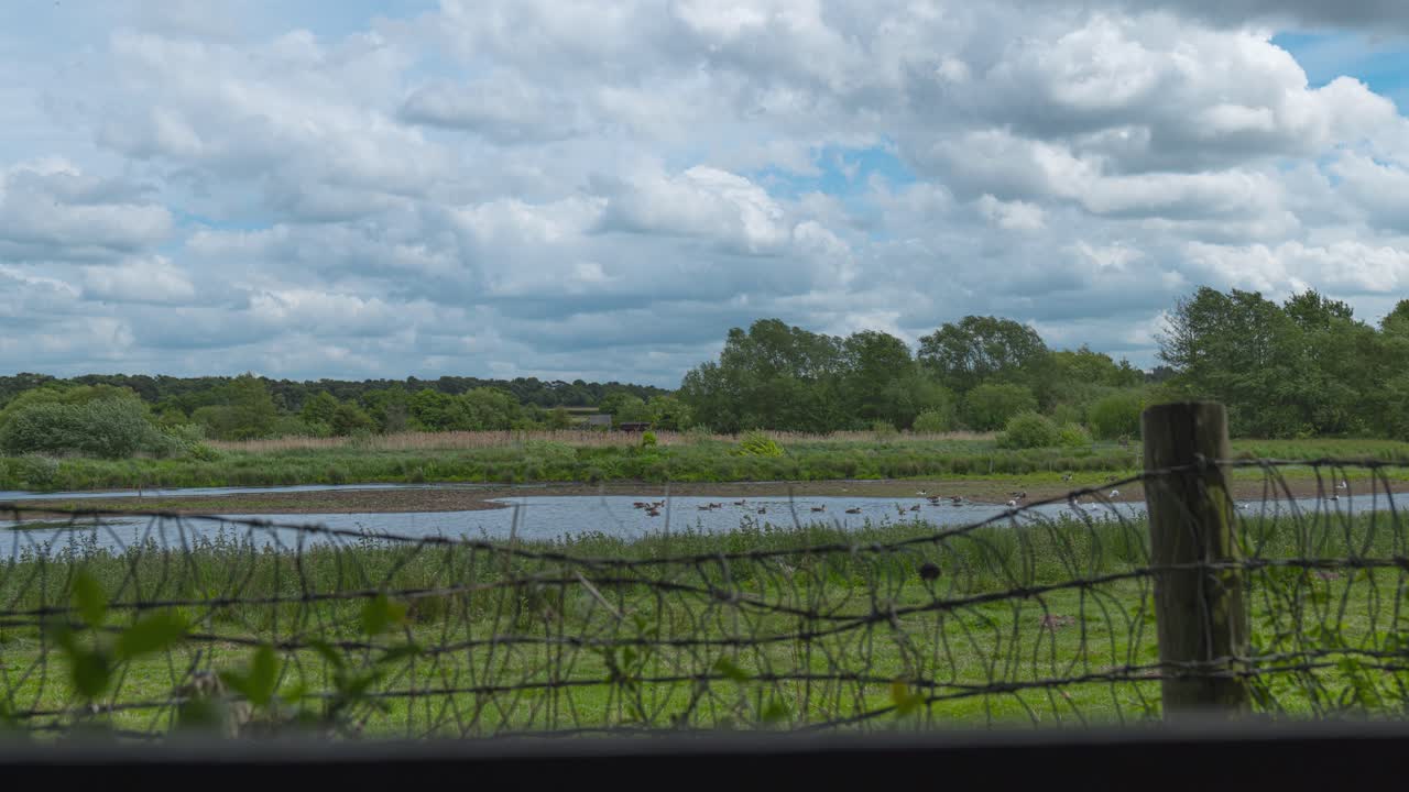 Nunnery Lakes Reserve Thetford timelapse nature landscape England United Kingdom