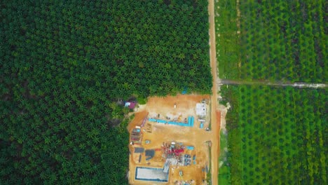 Cinematic-Drone-Shot-of-Onshore-Drilling-and-Workover-Rig-structure-and-Rig-equipment-for-oil-exploration-and-exploitation-in-the-middle-of-jungle-surrounded-by-palm-oil-trees-during-sunset-time