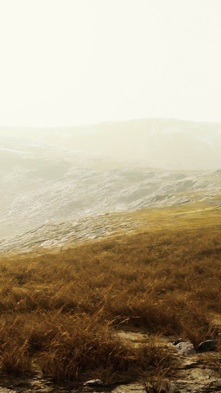 Paisaje montañoso de niebla