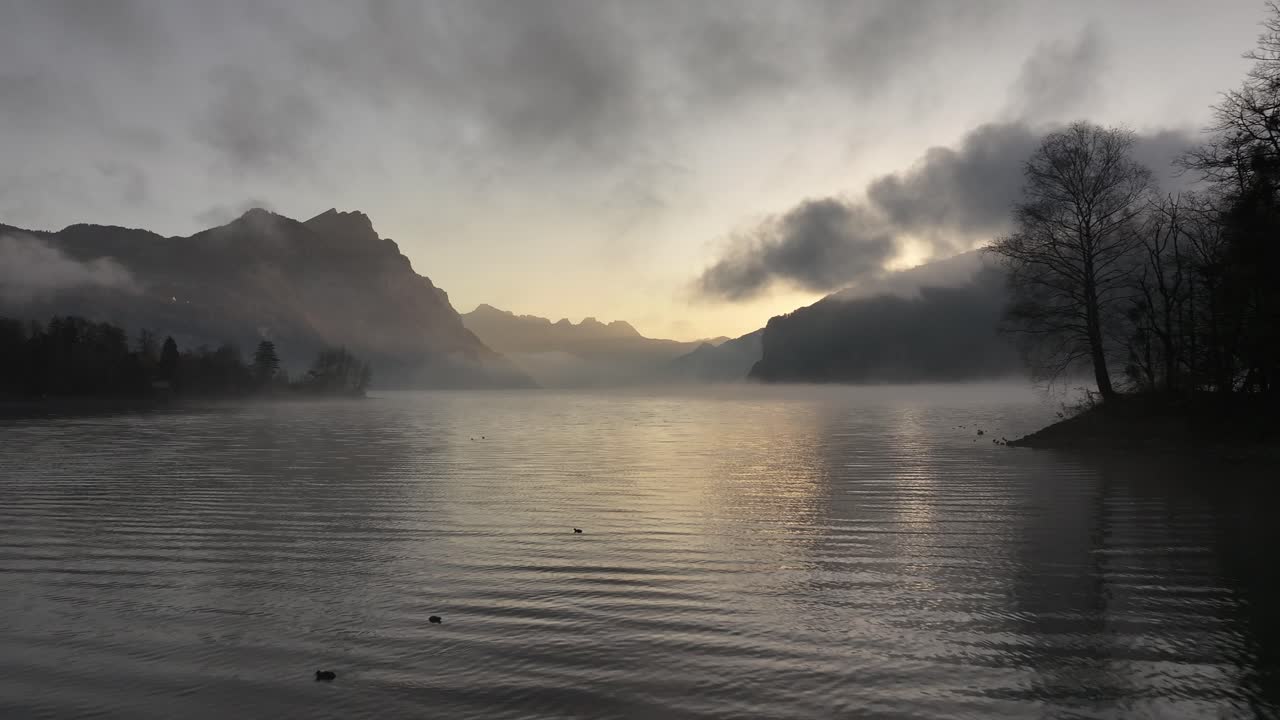 Misty morning over Walensee with soft light, trees, and mountain silhouettes. Switzerland