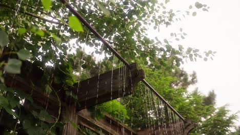 closeup-of-a-rainfall-fountain-with-water-dripping-from-a-pipe-surrounded-by-trees-and-foliage