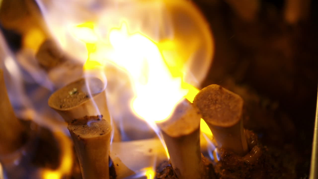 plato de carne de caza en llamas