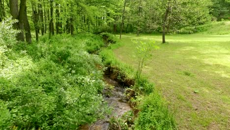 low aerial medium shot over manicured lawn and dense overgrowth separated by creek