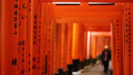 person walking under traditional japanese gates