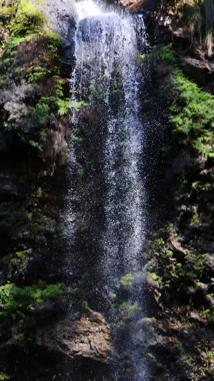 personas explorando y nadando cerca de una cascada