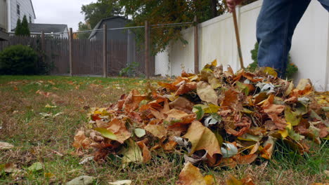 raking leaves into camera close up