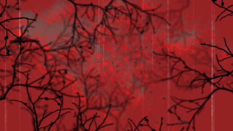 animation of halloween interference over tree branches on red background