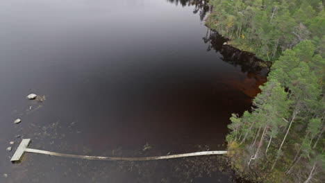 Denso-Bosque-Junto-Al-Tranquilo-Lago-Durante-El-Otoño-En-Suecia