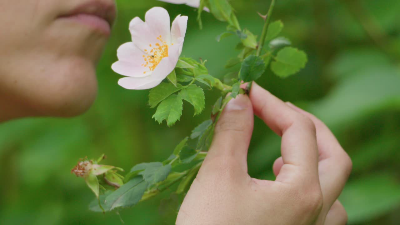 White woman smelling flowers wild Briar rose wildflower nature up close