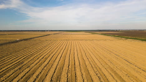 harvested wheat fields in spain, aerial view
