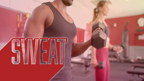 animation of sweat text over diverse man and woman exercising in gym