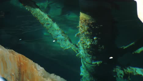 puente de apoyo bajo el agua