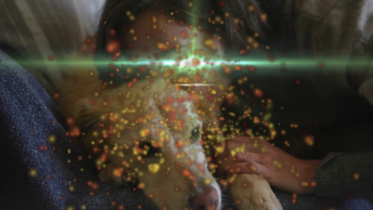 Pet care woman comforting dog, contact causing golden particles spreading outward and green flare