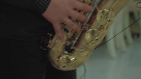 saxophonist plays on the saxophone