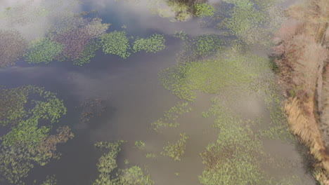 A-drone-view-over-a-quiet-lake,-surrounded-by-dry-trees-and-a-parkway-next-to-it