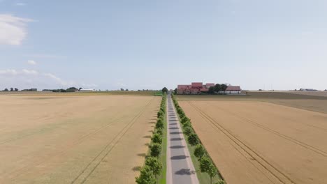 Scenic-View-Road-Line-With-Trees-Towards-Gunnar-Colleges-Farm-Shop-In-Hammenhög,-Sweden