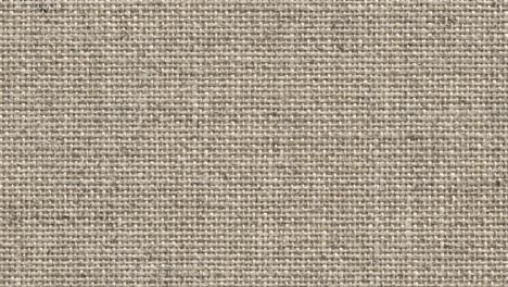 seamless loopable linen canvas background