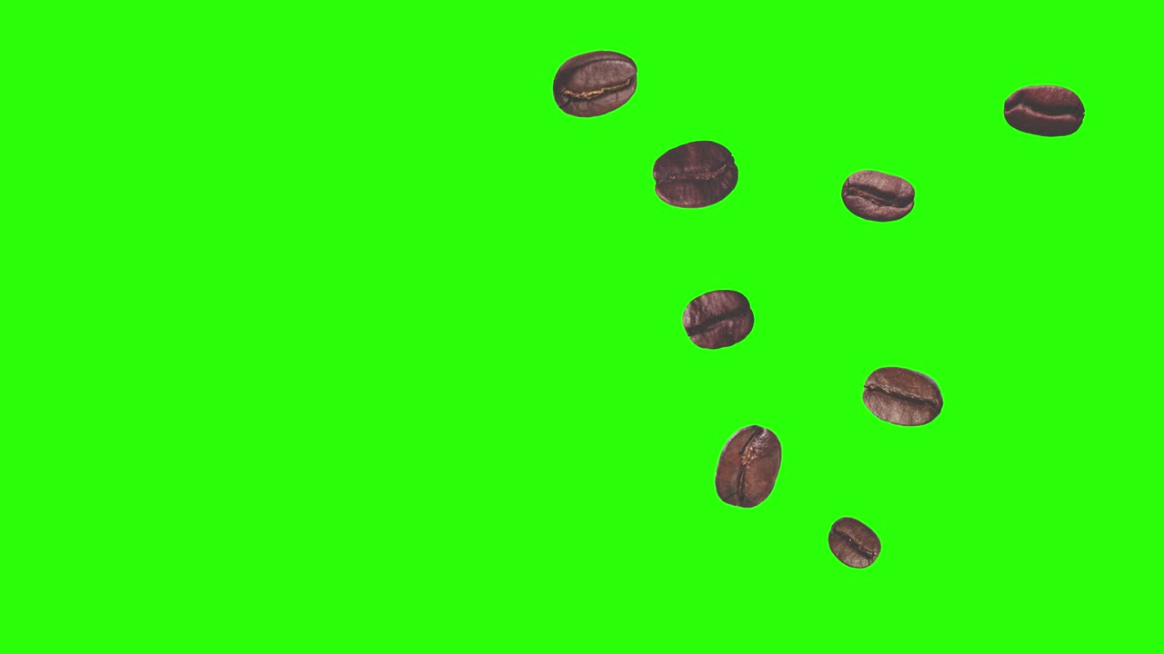 현실적인 커피 콩 애니메이션 녹색 화면에 그래픽 요소 크로마 키