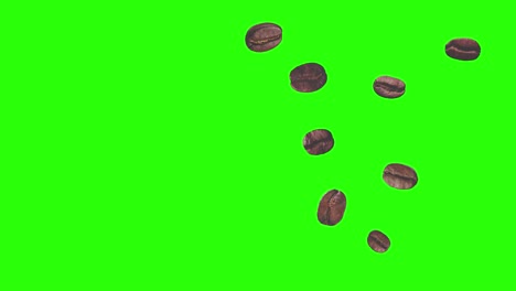 realistic coffee beans animation graphic element on green screen chroma key