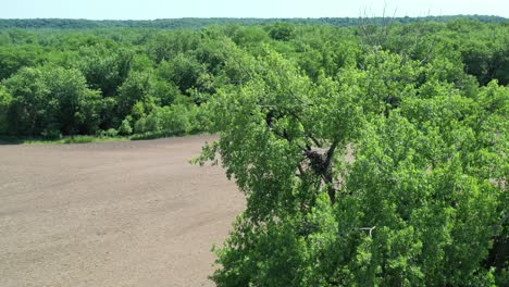 plowed farm land surrounded by trees filmed from a aerial view