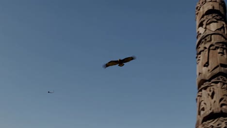 eagle flying near a totem pole