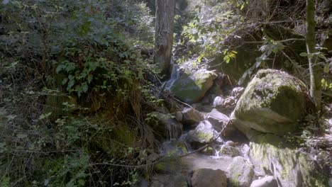 Adéntrate-En-La-Serena-Belleza-De-Las-Montañas-De-Santa-Cruz-Con-Este-Cautivador-Vídeo-En-Primer-Plano-De-Una-Pequeña-Cascada-En-El-Exuberante-Bosque-De-Secuoyas.