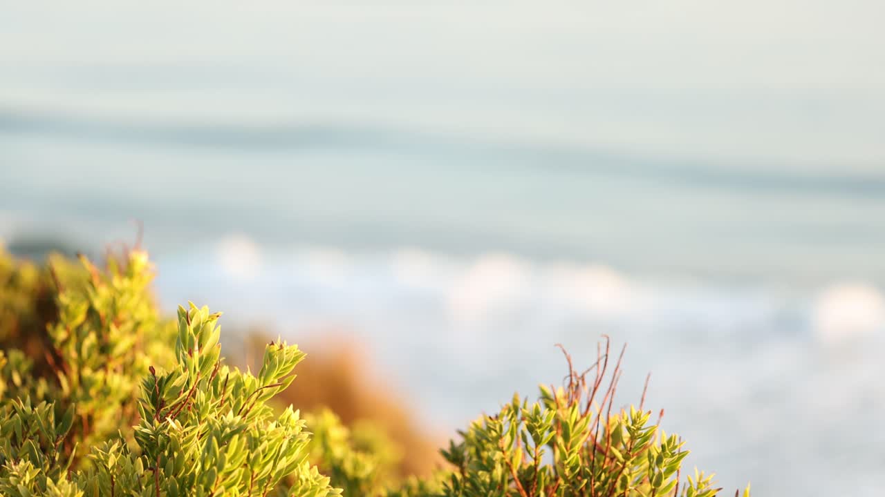 배경 에 바다의 파도 가 있는 초록색