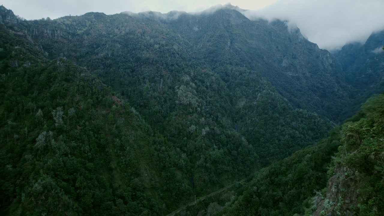 el valle de la montaña brumosa