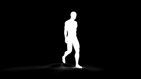 mapa del músculo del cuerpo humano ciclo de caminata renderizado en bucle con alfa mate