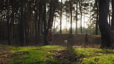 a woman with a dog runs through a picturesque forest, a walk with a pet in the autumn forest