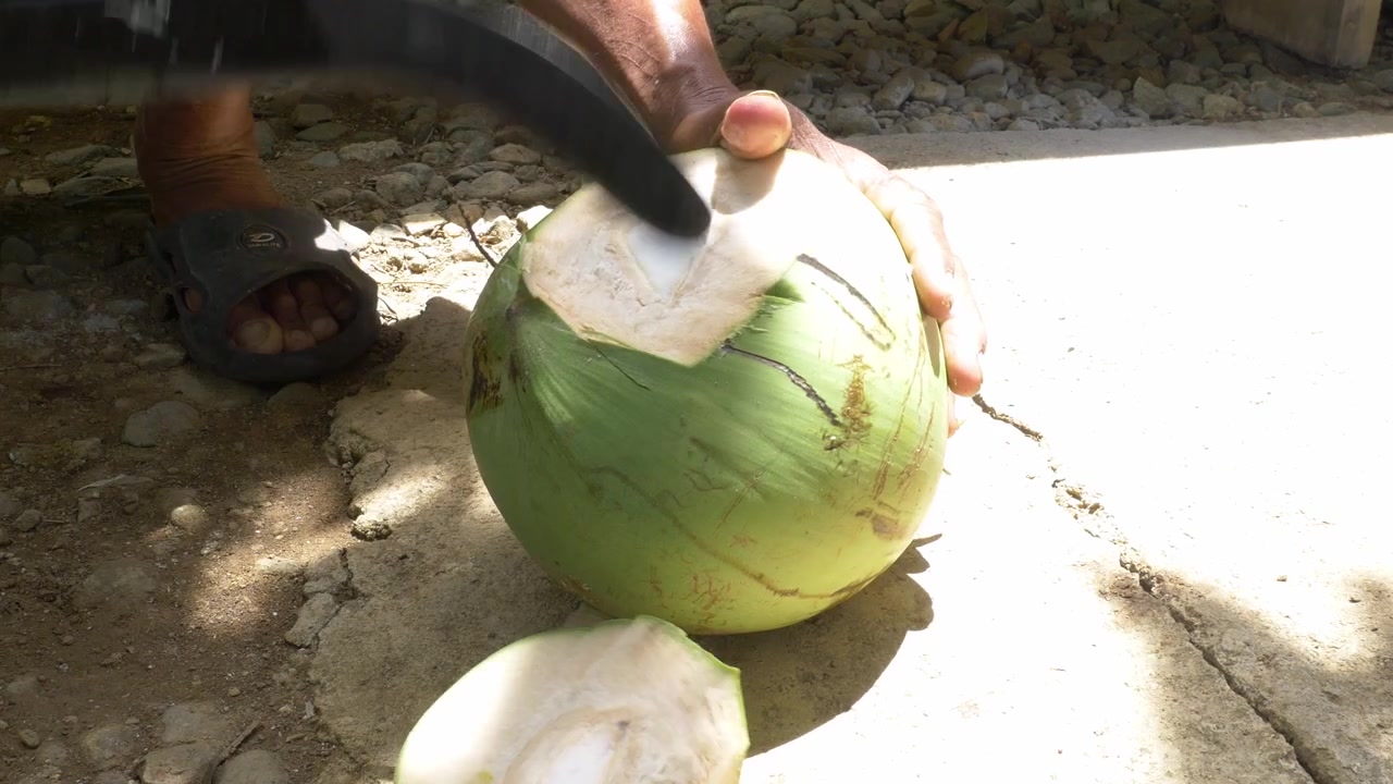 Fresh green coconut opened with a machete in Cebu, Philippines.