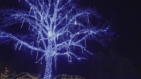 dynamic shot of tree decorated with blue christmas lights and icicles