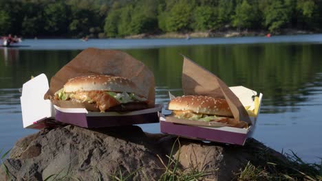 two delicious beef burgers by the calm lake with people on water bicycles in the background