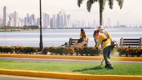 a public worker cutting the grass of the amador causeway boulevard, in the distance across the waters of the panama canal a spectacular scenic view of the modern urban cityscape of panama city