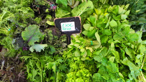 hierbas frescas de la granja local en un mercado de agricultores orgánicos, verduras biológicas saludables y hojas de ensalada para la venta, 4k tiro