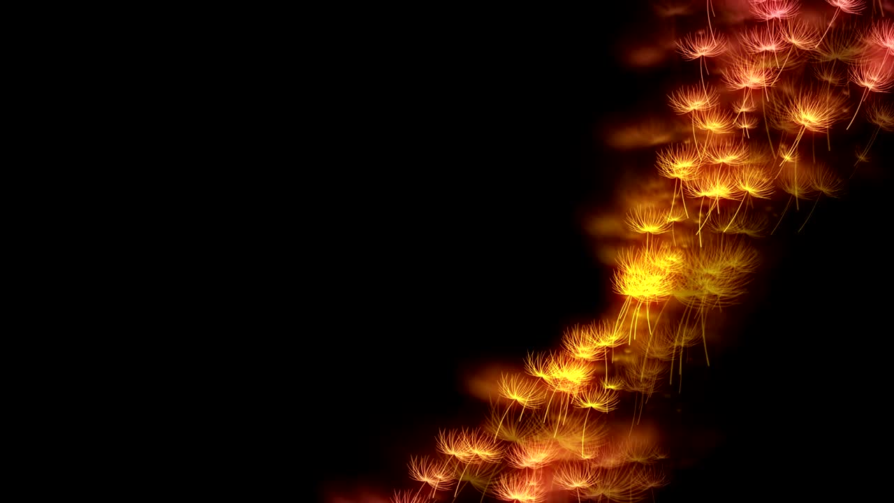 абстрактный свет боке блестит, улыбка одуванчика или тампопо, рисунок желтого и розового градиента, цветная иллюстрация на темном фоне, бесшовная циклическая анимация 4k с левым пространством для копирования