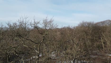 Epping-Bosque-Estanque-Cubierto-De-Hielo-Elevarse-Sobre-árboles-Drone-De-Invierno-4k